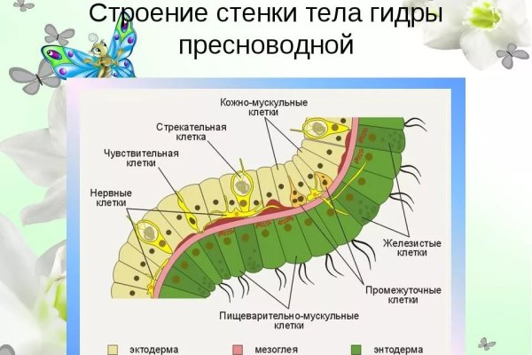 Кракен прямая ссылка