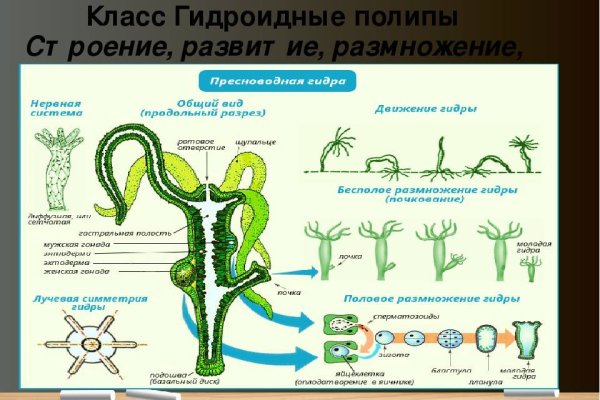 Новый сайт омг