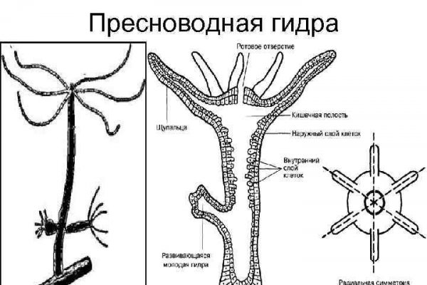 Омг это наркотик